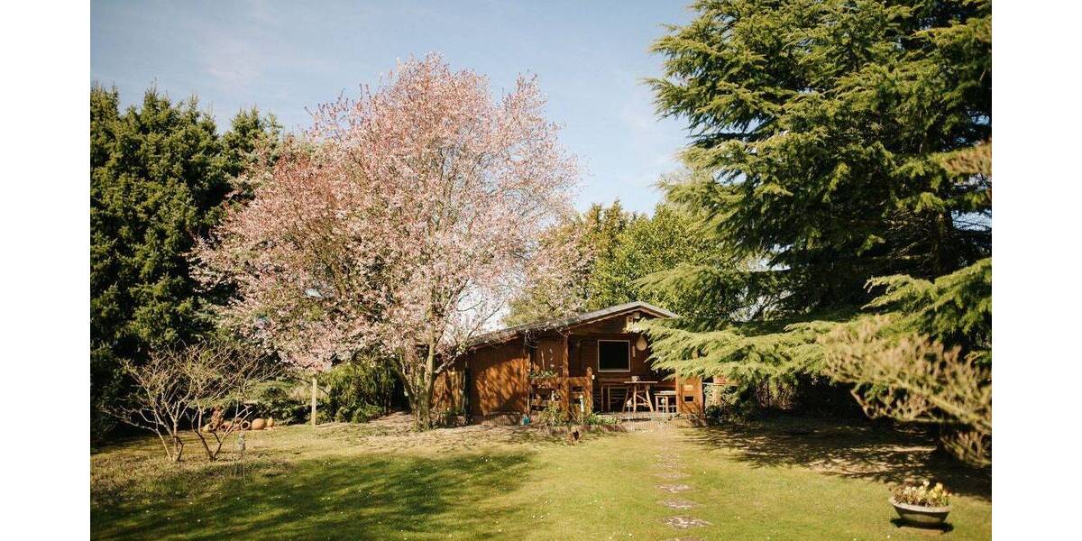 Mehrfamilienhaus, Wohnhaus Werder (Havel) - 9 Zimmer, 251 m&sup2;, 1.150.000&euro; | Angebot:26528363