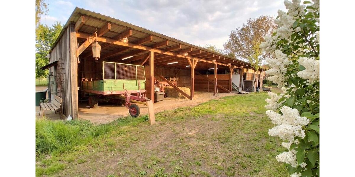 Bauernhaus, Landhaus Kloster Lehnin - 7 Zimmer, 170 m&sup2;, 655.000&euro; | Angebot:26795440