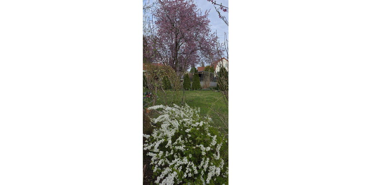 Einfamilienhaus Falkensee - 4 Zimmer, 134 m&sup2;, 649.000&euro; | Angebot:26243858