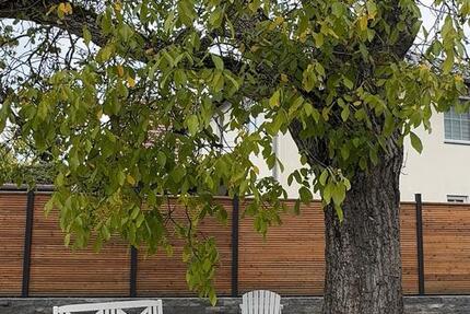 Maisonette-Wohnung über zwei Etagen in Michendorf zimmer