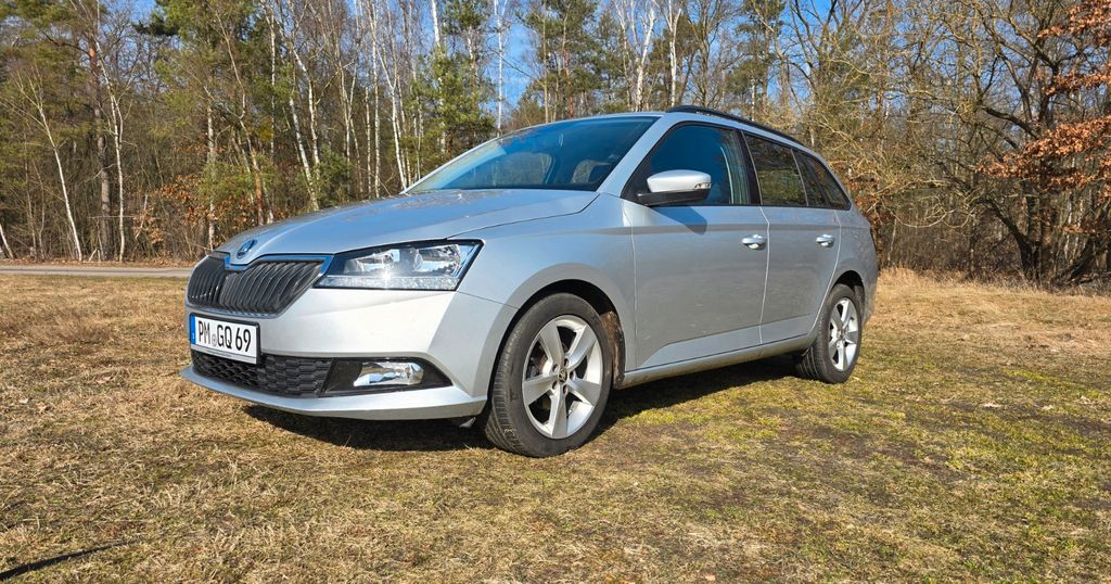 Skoda Fabia 106.200 km 9.750 &euro; Michendorf 14552