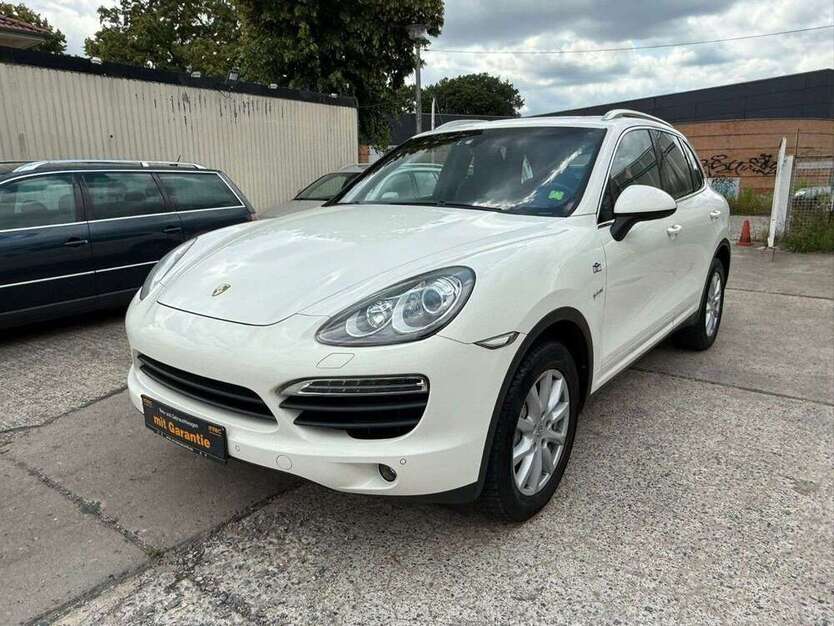 Cayenne