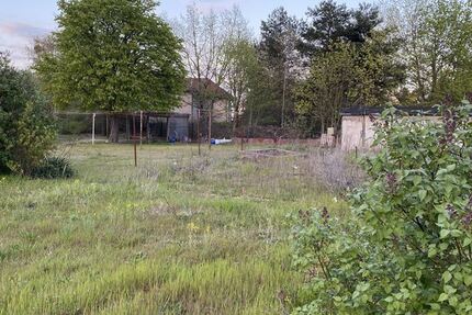 Neuer Preis! Schönes Mischgrundstück im Ortskern von Caputh als Gewerbe oder Wohnen zimmer