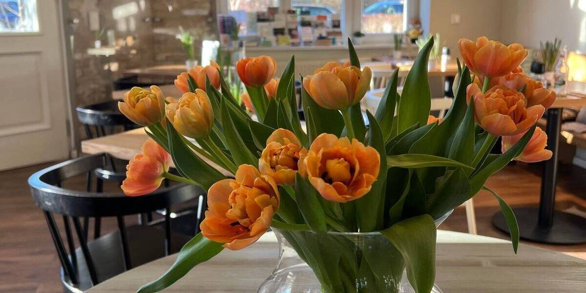 Besichtigung 14.12. 13:30-14:30 Uhr! Ruhe genießen im großen eigenen Garten mit Terrasse - ab sofort 3 zimmer