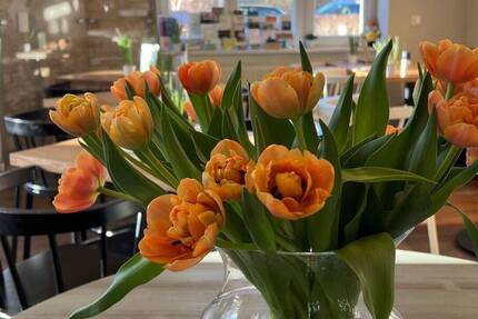 Ruhe genießen im großen eigenen Garten mit Terrasse - ab sofort 3 zimmer