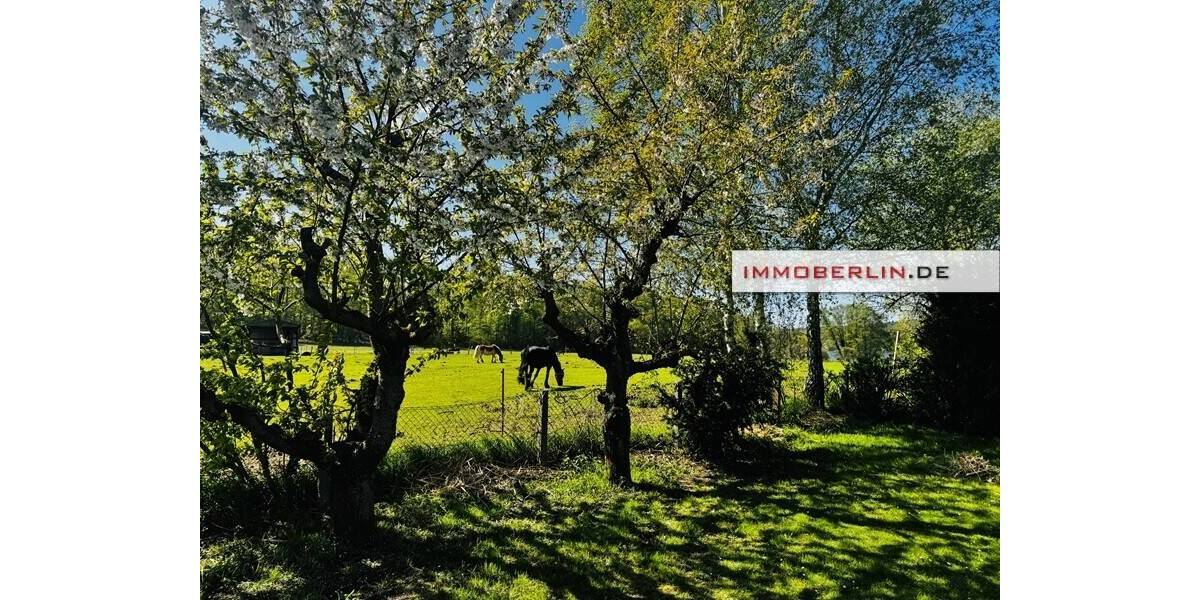 Einfamilienhaus Fahrland Fahrland - 5 Zimmer, 131 m&sup2;, 640.000&euro; | Angebot:26358456