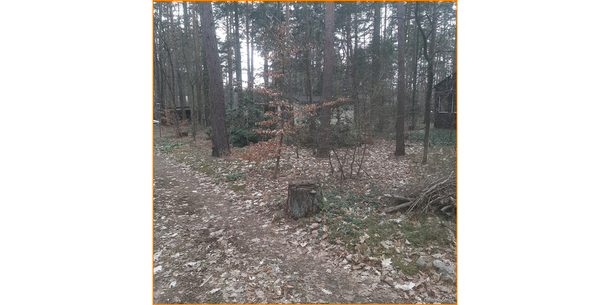 Alle Hausarten auf KLASSE Bauland möglich zimmer