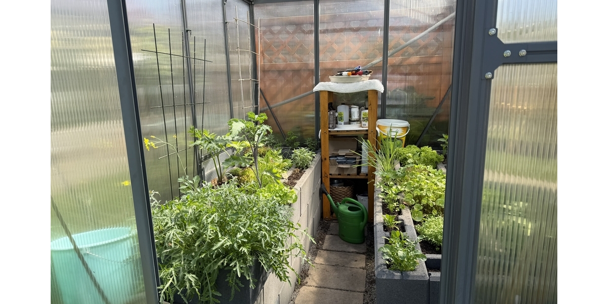 Provisionsfrei! Mediterranes Landhaus mit Wohlfühlgarten und Wellnessbereich in Nauen-Wachow - Einfamilienhaus Nauen | Angebot:27208594