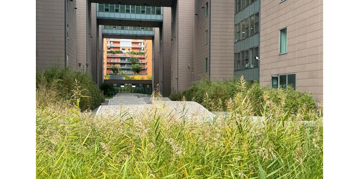 Gewerbeobjekt Berlin Mitte - 17.825&euro; | Angebot:24199127