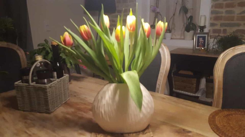 Landhaus m. 2700qm Sommergarten ca.20min südl.v. Berlin u.Potsdam 8 zimmer