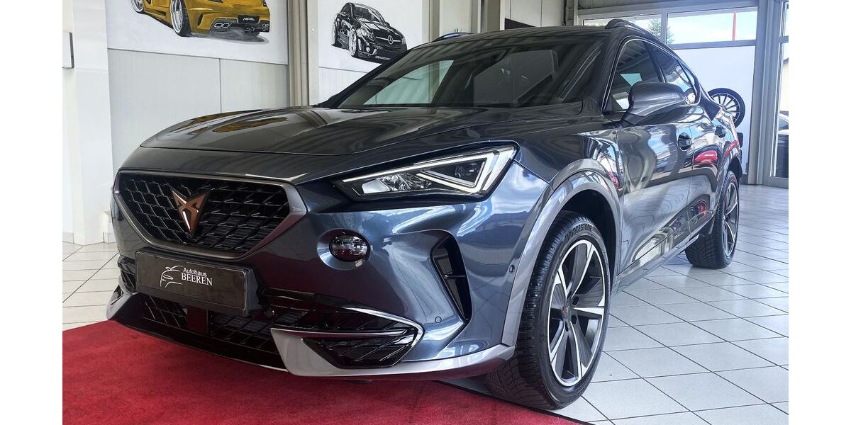 Cupra Formentor 27.090 km 29.990 &euro; Rathenow 14712