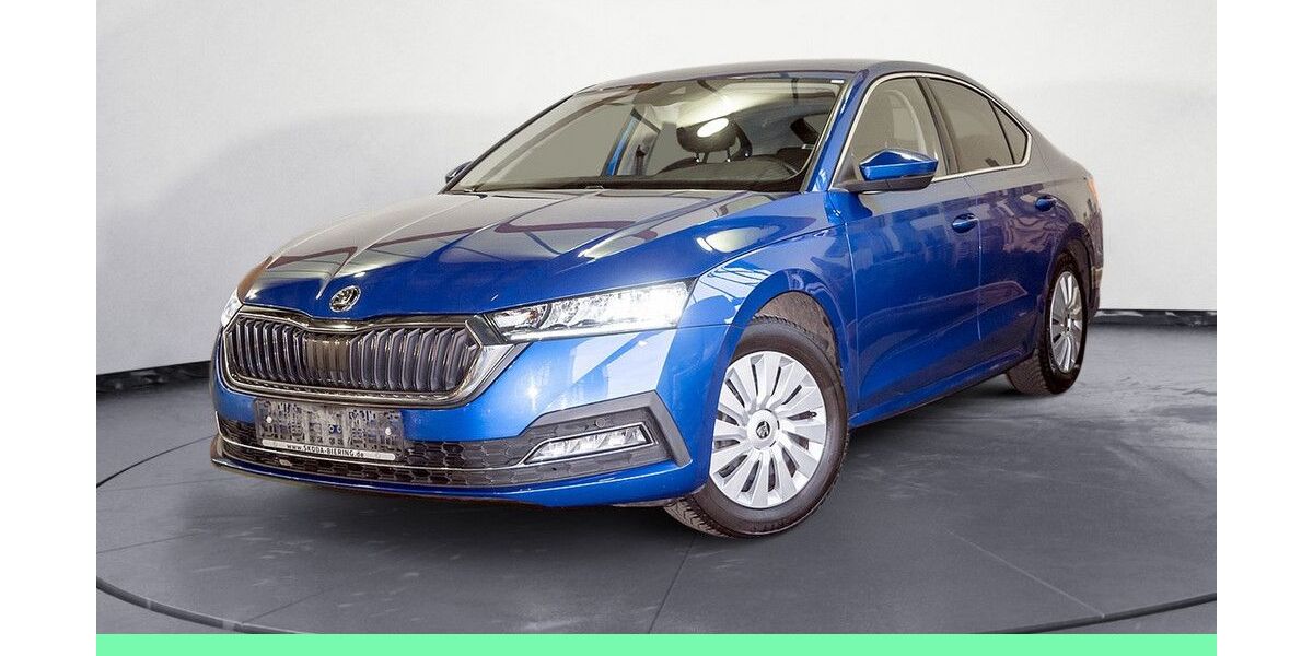 Skoda Octavia 67.019 km 17.290 &euro; Schwielowsee OT Geltow 14548