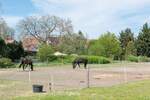 Reihenendhaus Dallgow-Döberitz Dallgow - 4 Zimmer, 117 m&sup2;, 495.000&euro; | Angebot:26737432