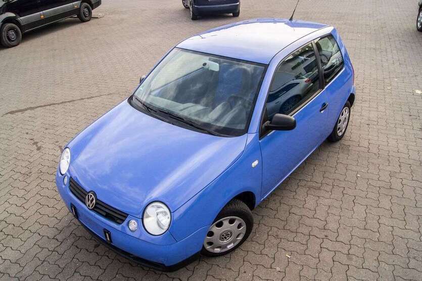 Lupo