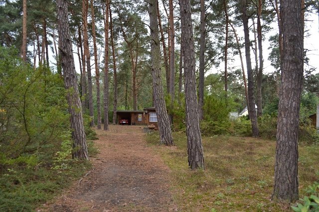 Traumhaftes Waldgrundstück in Michendorf