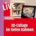 3D-Collagen im Rahmen