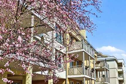 Wohnung Potsdam Berliner Vorstadt - 3 Zimmer, 80 m&sup2;, 495.000&euro; | Angebot:26193362