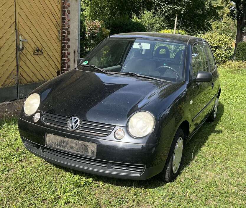 Lupo