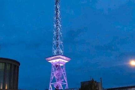 Wohnung Potsdam - 1 Zimmer, 20 m&sup2;, 550&euro; | Angebot:24715883