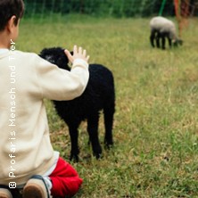 Schaf und Ziegen Kinder Abendteuer 15.11.2026 Profaris