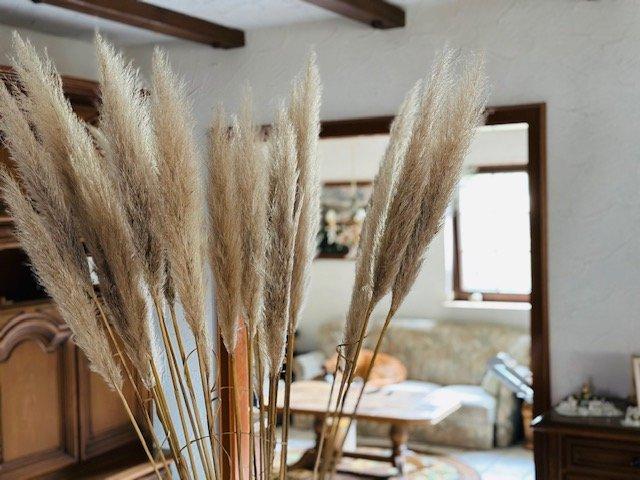 Einfamilienhaus Falkensee - 840.000&euro; | Angebot:26893997