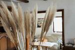 Einfamilienhaus Falkensee - 840.000&euro; | Angebot:26893997