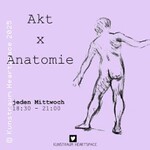 Akt x Anatomie
