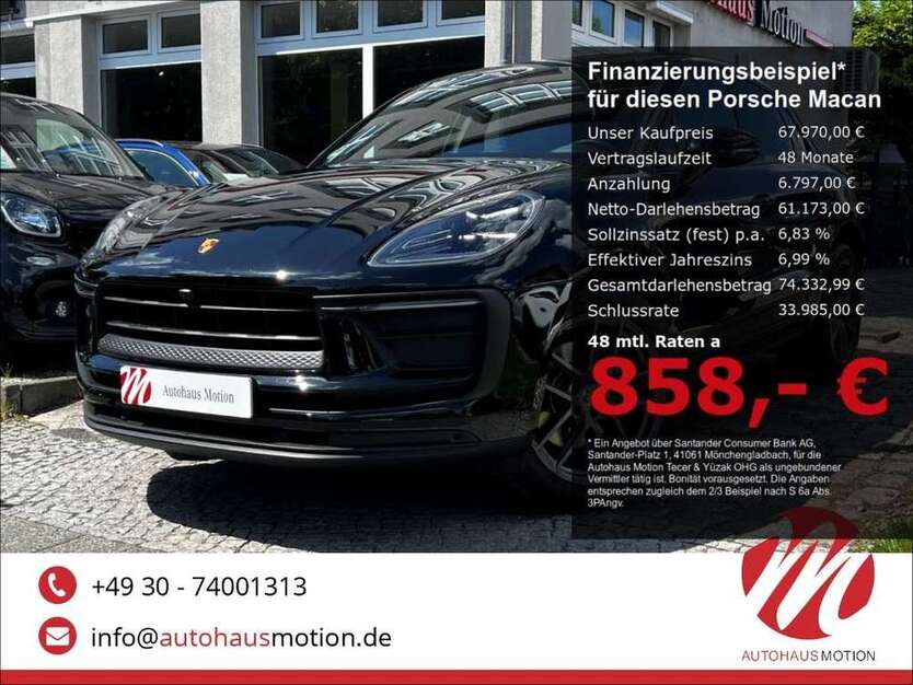 Macan