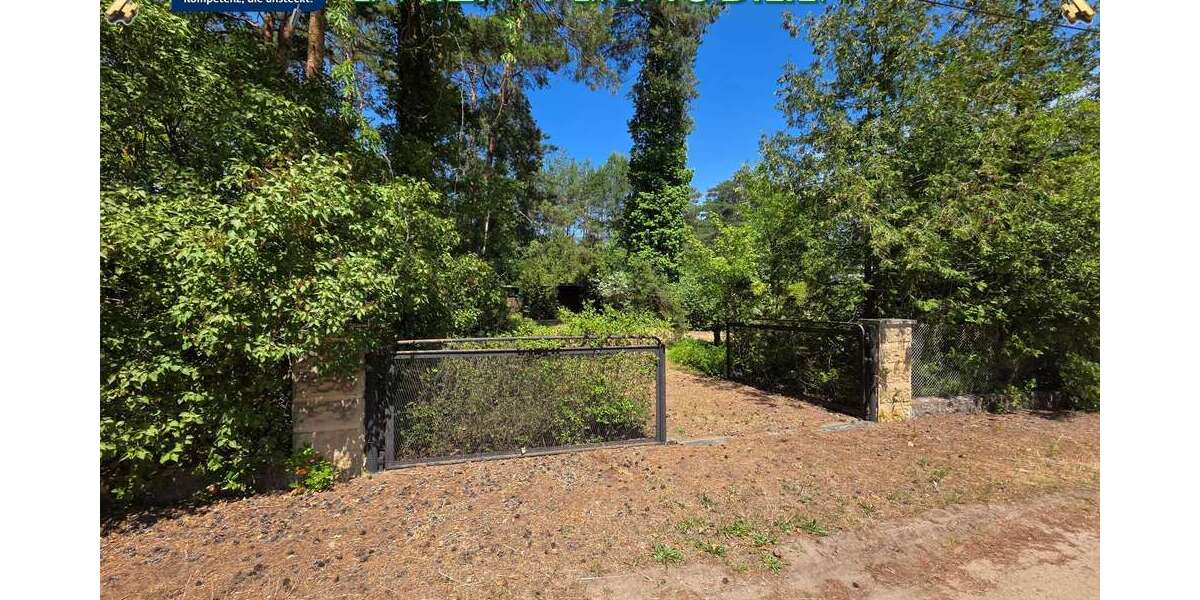 Grundstück Borkheide - 115.000&euro; | Angebot:26915380