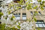 Etagenwohnung Berlin Alt-Treptow - 2 Zimmer, 74 m&sup2;, 395.000&euro; | Angebot:26790008