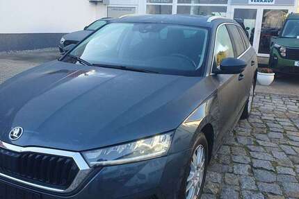Skoda Octavia 79.380 km 17.990 &euro; Potsdam 14469