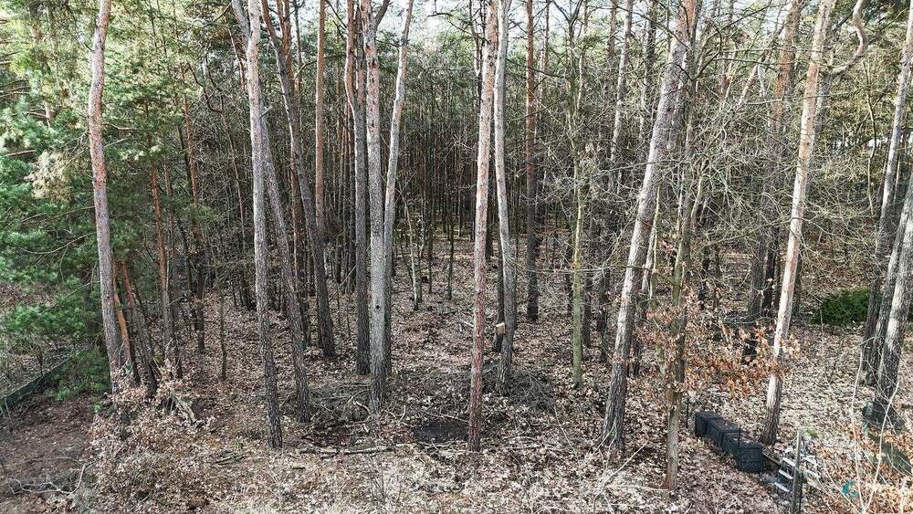 Grundstück Potsdam Groß Glienicke - 480.000&euro; | Angebot:25361055