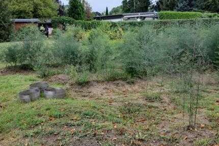 Grundstück zu verkaufen in Ludwigsfelde 199.900 € 499 m² zimmer