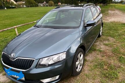 Skoda Octavia 187.000 km 7.999 € Groß Kreutz 14550