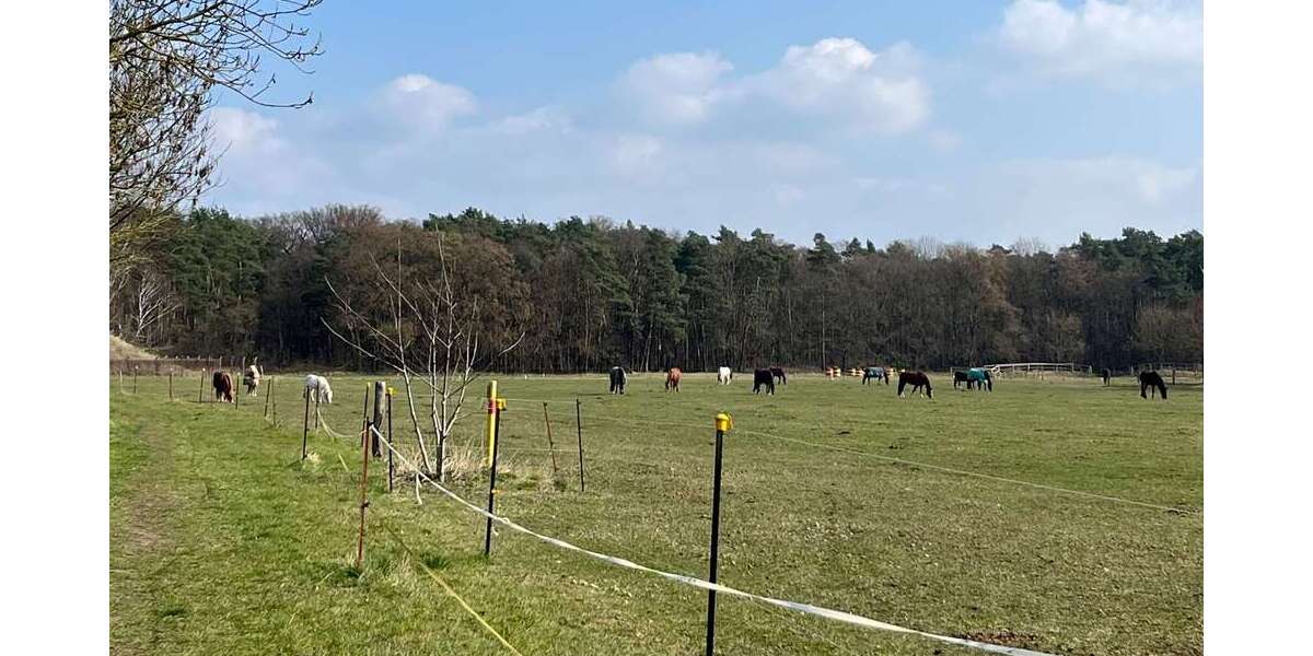 100 m² großes Reihenhaus in Falkensee, nahe Potsdam + Berlin, ruhige Siedlungslage, Einfamilienhaus 4 zimmer