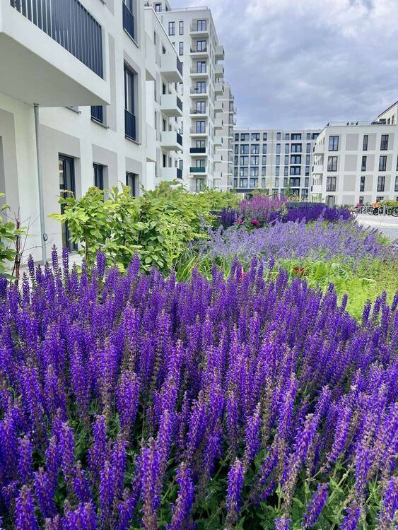 1 Zimmer mit Balkon - HAVELUFER Quartier