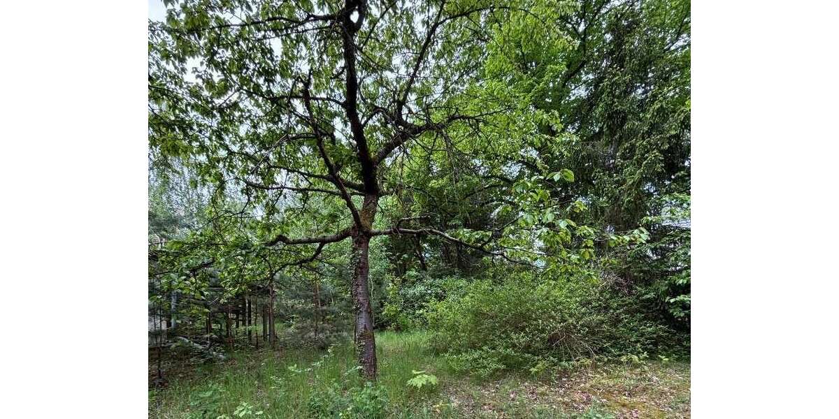 Grundstück Potsdam Krampnitz - 287.000&euro; | Angebot:27337173