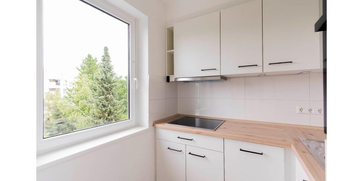 1 Zimmer Wohnung Steglitz 1 zimmer