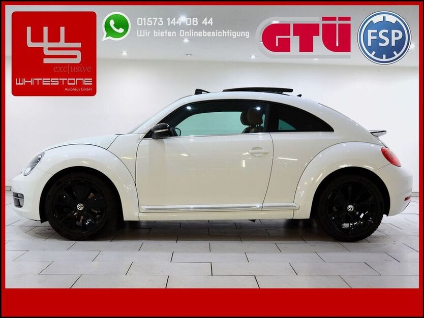 Beetle