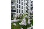 1 Zimmer mit Garten im Erdgeschoss - HAVELUFER Quartier