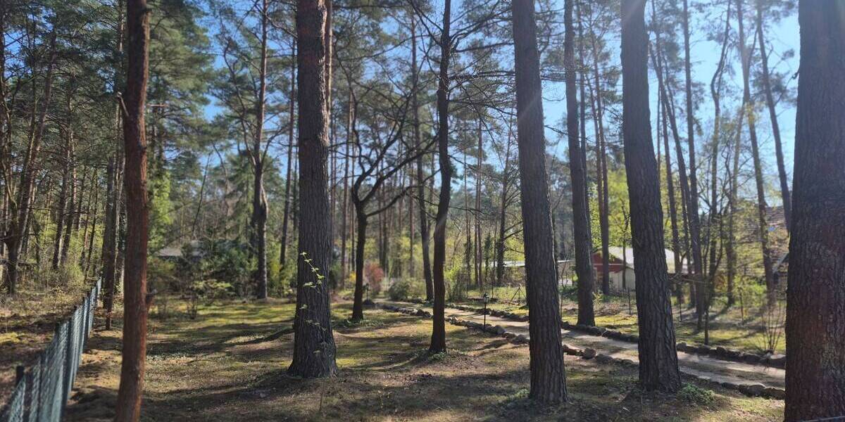 Grundstück Beelitz / Fichtenwalde Fichtenwalde - 179.000&euro; | Angebot:26292708