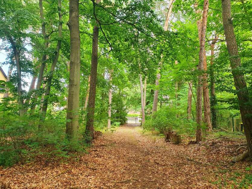 Grundstück zu verkaufen in Michendorf 350.000 € 870 m²