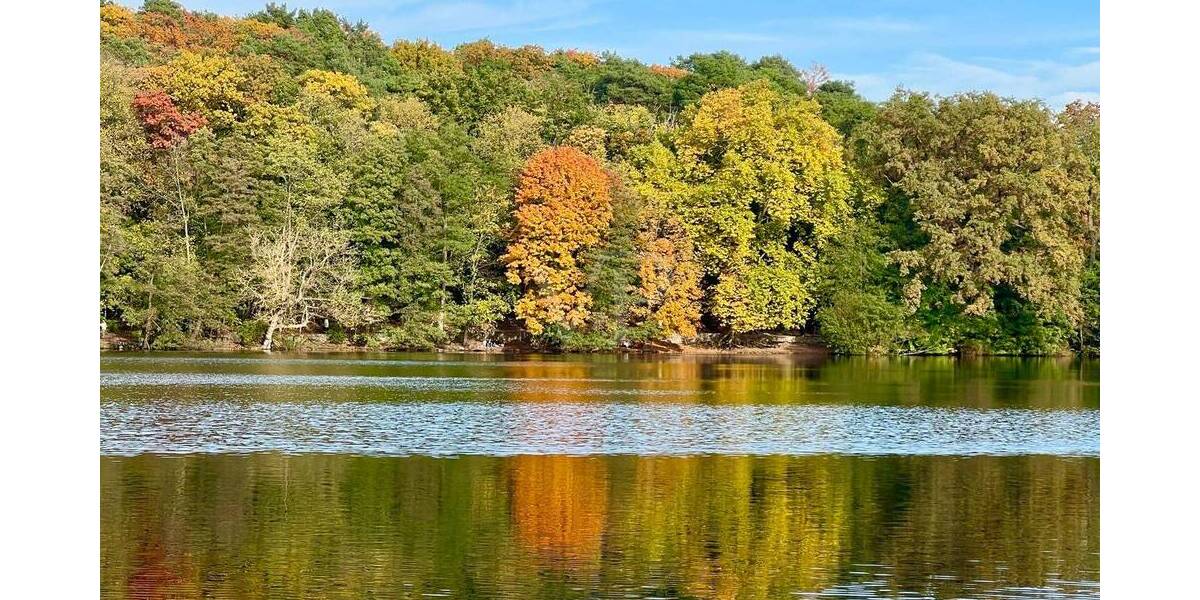 Etagenwohnung Berlin / Nikolassee Nikolassee - 2 Zimmer, 83 m&sup2;, 2.599&euro; | Angebot:25821711