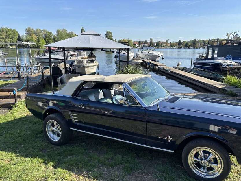 Mustang