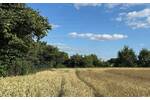 Grundstück Blankenfelde-Mahlow Mahlow - 230.000&euro; | Angebot:25801863