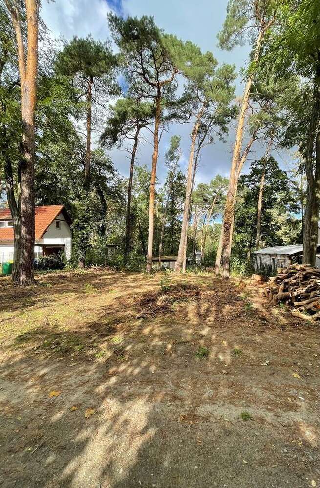 Grundstück zu verkaufen in Rangsdorf 260.000 € 1036 m²