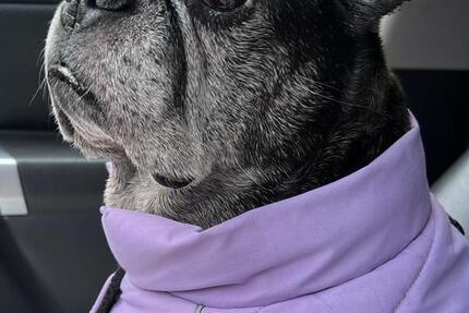 Wohnung Berlin Friedrichshain-Kreuzberg - 3 Zimmer, 67 m&sup2;, 1.090&euro; | Angebot:25274993