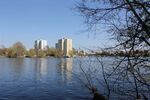 Exklusives Energiesparhaus auf Hermannswerder in außergewöhnlicher Insellage - Reihenendhaus Potsdam Südliche Innenstadt | Angebot:26931438