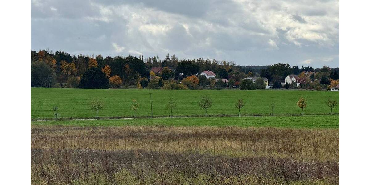 Grundstück Michendorf Bergheide - 245.000&euro; | Angebot:26207430