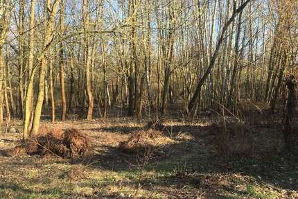 Grundstück in Kleinmachnow 100.000 € 832 m² zimmer